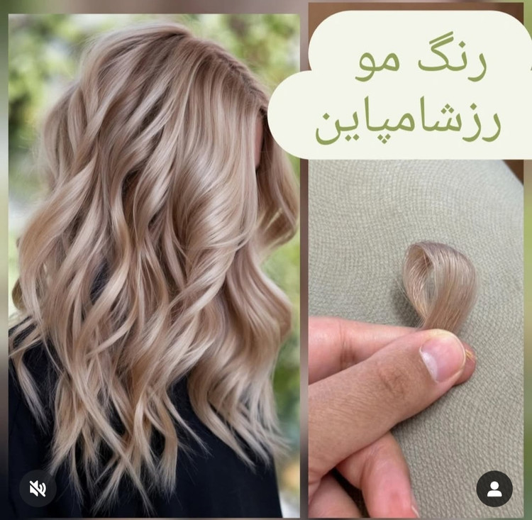 رنگ مو رزشامپاین بلوندی گرم وخاص